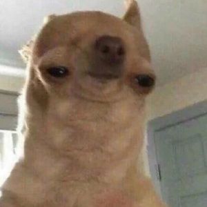 Meet your Posher, Marcos